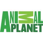 Animal Planet